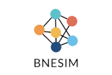 BNSIM