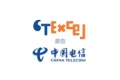 CTExcel Logo